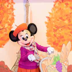秋ならではのコスチュームに身を包んだミニーマウス※画像はイメージ（C）Disney