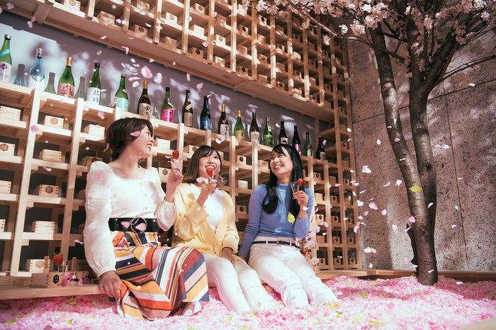 サクラチルバー 桜舞い散る花見バーが渋谷に 1万枚の花びらに埋もれる桜プールも 女子旅プレス サクラチルバー 桜舞い散る花見バーが渋谷に 1万枚の花びらに埋もれる桜プールも 女子旅プレス