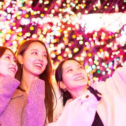 伊豆高原グランイルミ※前シーズンの様子/提供画像