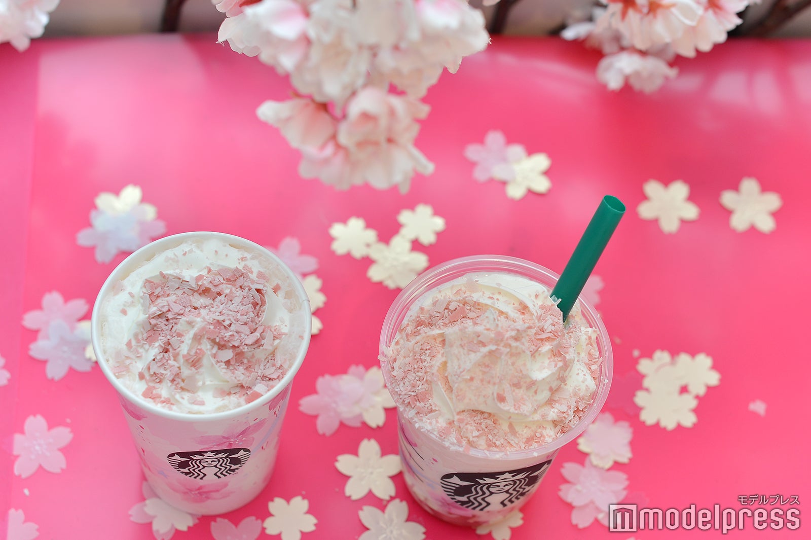 満開の桜をイメージした新ビバレッジでお花見気分 （C）モデルプレス