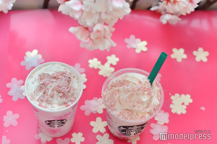 満開の桜をイメージした新ビバレッジでお花見気分 (C)モデルプレス