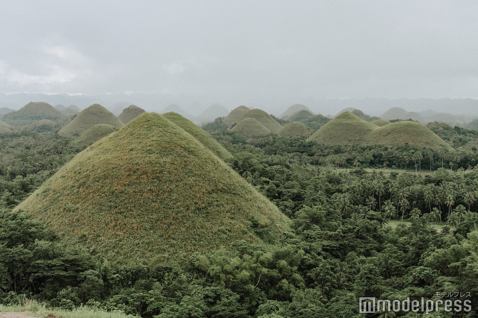 （C）モデルプレス