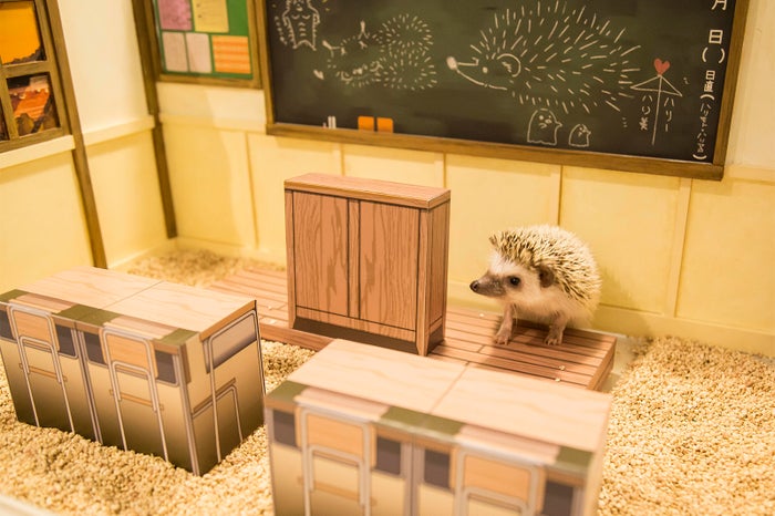 ちくちくCAFE／画像提供：飼育係