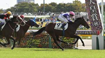 【新馬戦】ソーロブスト 最速タイ末脚で抜け出した ルメール「距離は千八から二千くらいかな。まだ伸びしろがあります」