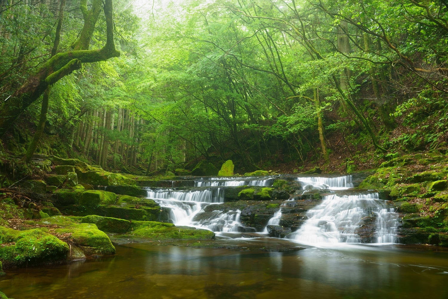 初夏の雛壇滝／提供画像