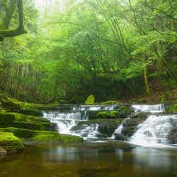 初夏の雛壇滝/提供画像