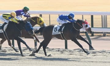 【新馬戦】タイセイジェイド 人気に応え快勝 松山「強い競馬をしてくれました」
