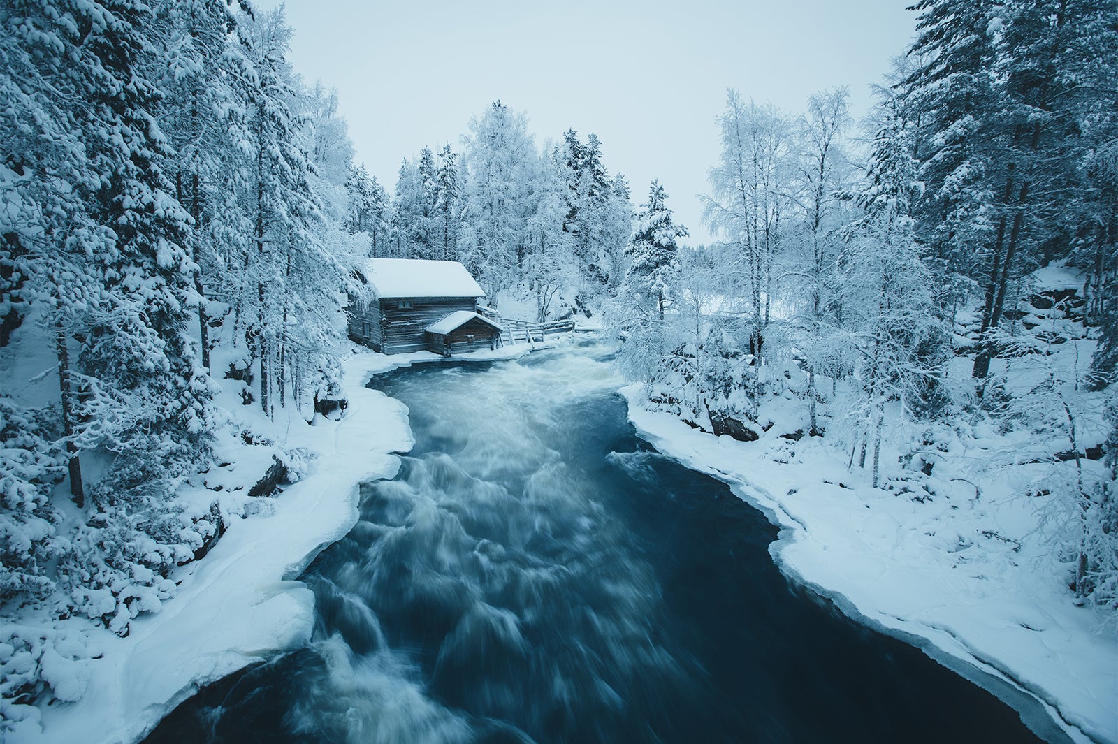 オウランカ国立公園／画像提供：Visit Finland（フィンランド政府観光局）