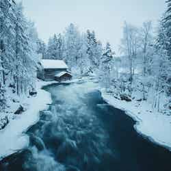 オウランカ国立公園／画像提供：Visit Finland（フィンランド政府観光局）