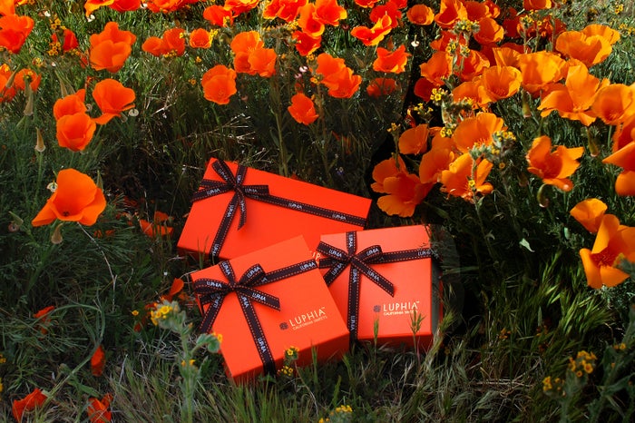 【2019年バレンタイン特集】大切な人へ贈りたい！おすすめチョコレート12選／画像提供：LUPHIA