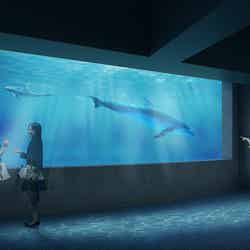 イルカホール／画像提供：四国水族館開発
