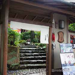 京都 嵯峨 嵐山 かみ舎楽(C)モデルプレス