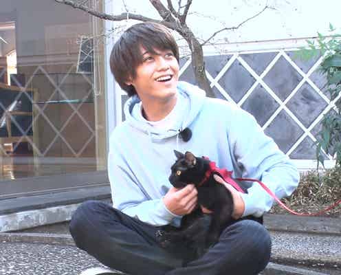 King & Prince高橋海人、噂を追跡「めちゃくちゃそっくりだ」