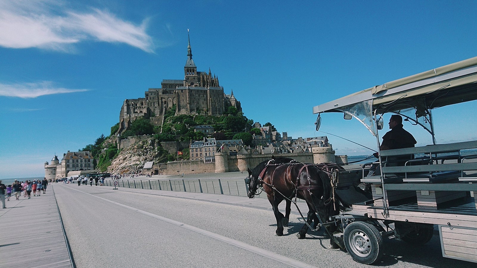 画像提供：所属事務所