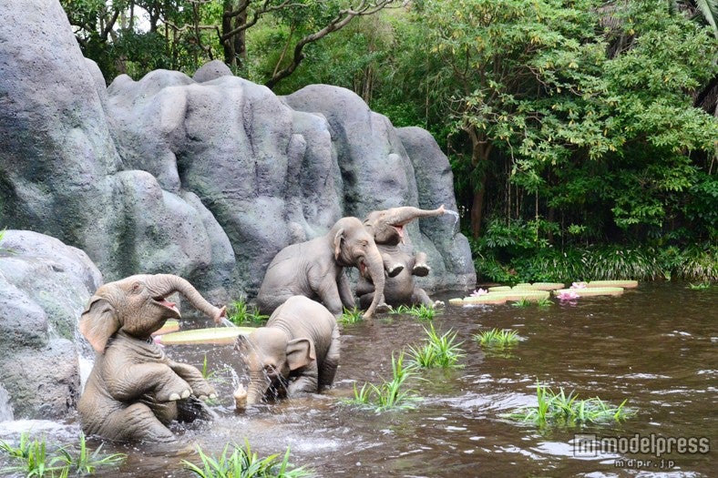 「ジャングルクルーズ：ワイルドライフ・エクスペディション」