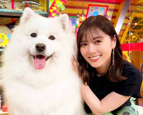 白石麻衣、キュートな犬との癒やされ2ショット 日向坂46佐々木久美も「カワイイ」連発