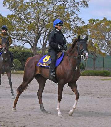 【皐月賞】上原佑師「3頭ともチャンス」 平成生まれ初クラシック制覇へ3頭出し！グリーンエナジー＆フォルテアンジェロ＆ライヒスアドラー