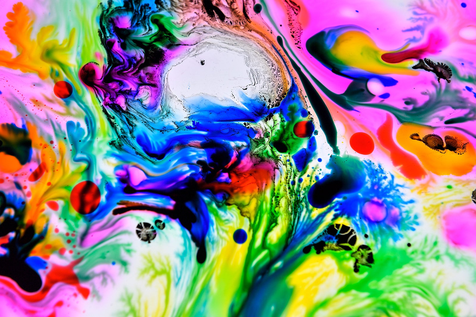 Media Ambition Tokyo 2018（C）Koki Nagahama（C）2018 Getty Images