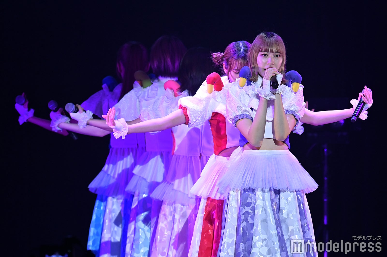 豆柴の大群（C）モデルプレス