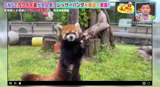 カワイイ姿がSNSで話題に…！人気の動物園・水族館のウラ側