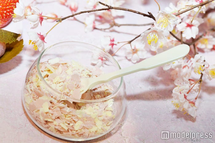さくらの花びらを思わすさくらシェイブ(チョコレート) (C)モデルプレス