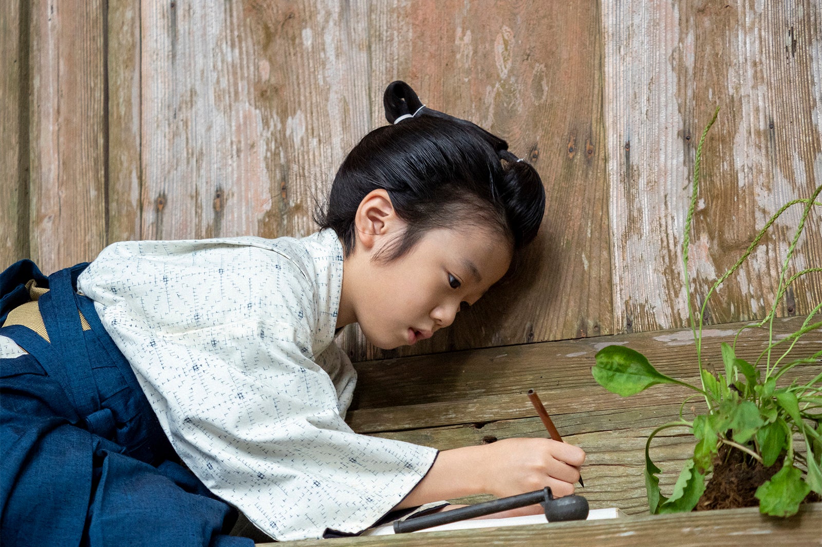 「らんまん」第4話（C）NHK