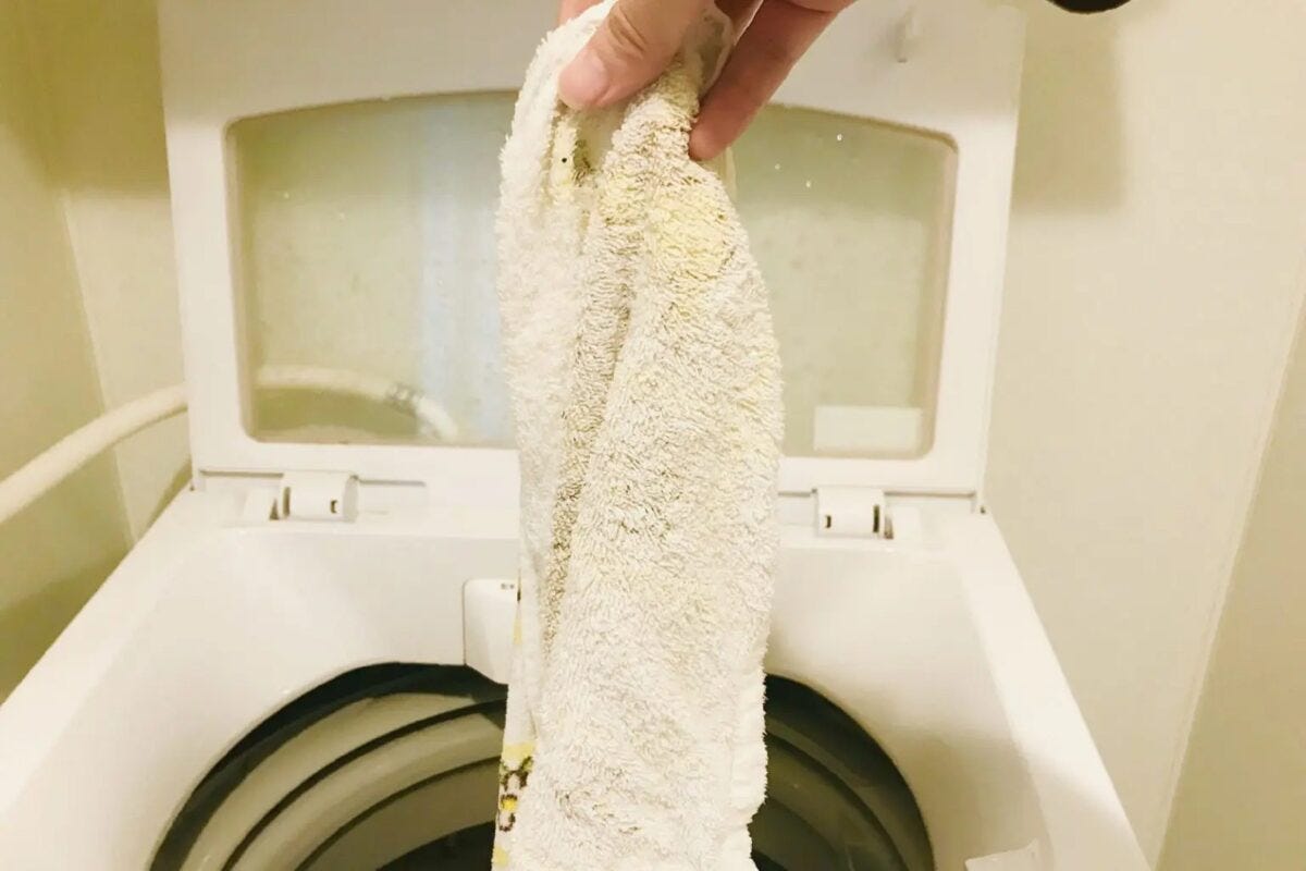 洗濯物のタオル