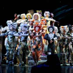 「キャッツ」名古屋公演(劇団四季提供 撮影:重松美佐)/画像提供:ジェイアール東海ホテルズ