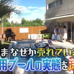自宅用プールの展示場と中継（C）日本テレビ