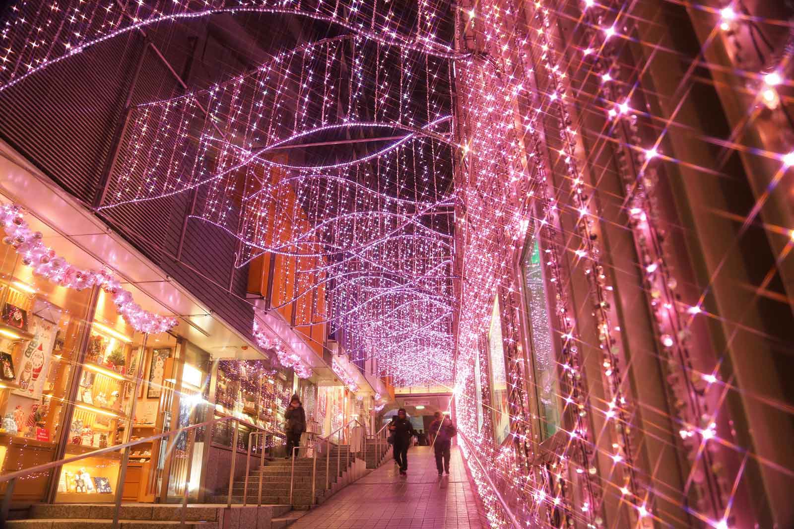 昨年度実施の様子／画像提供：小田急電鉄株式会社