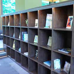 星野リゾート トマム(C)モデルプレス