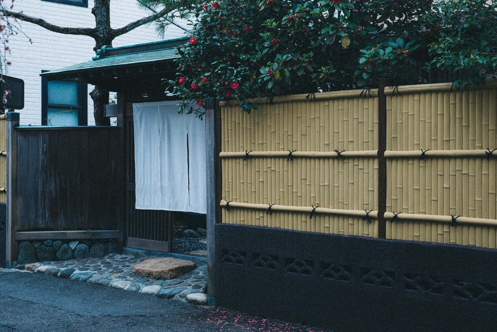 エンソウ／画像提供：日東電化工業