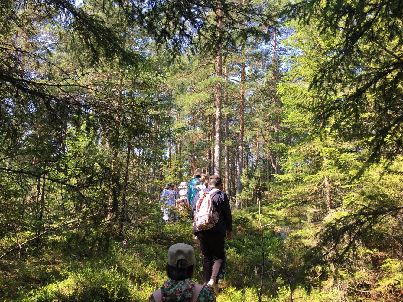 フィンランドの大自然を感じて／提供画像