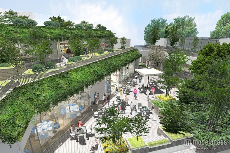 テラスイメージ