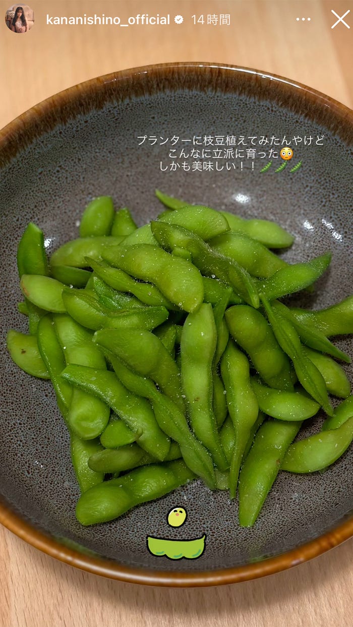 西野カナ Instagramストーリーズより