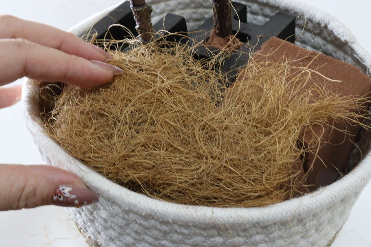 セリア　ココナッツファイバー　フェイクグリーン