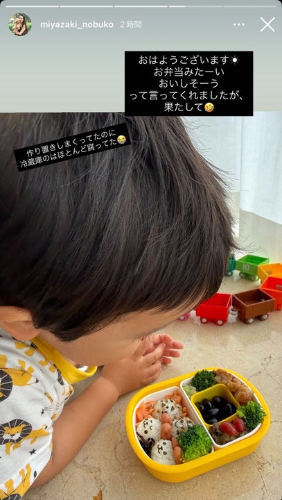 宮崎宣子Instagramストーリーズより