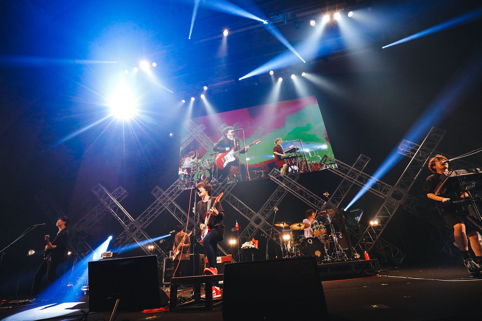 キュウソネコカミ／写真：関口佳代（提供写真）