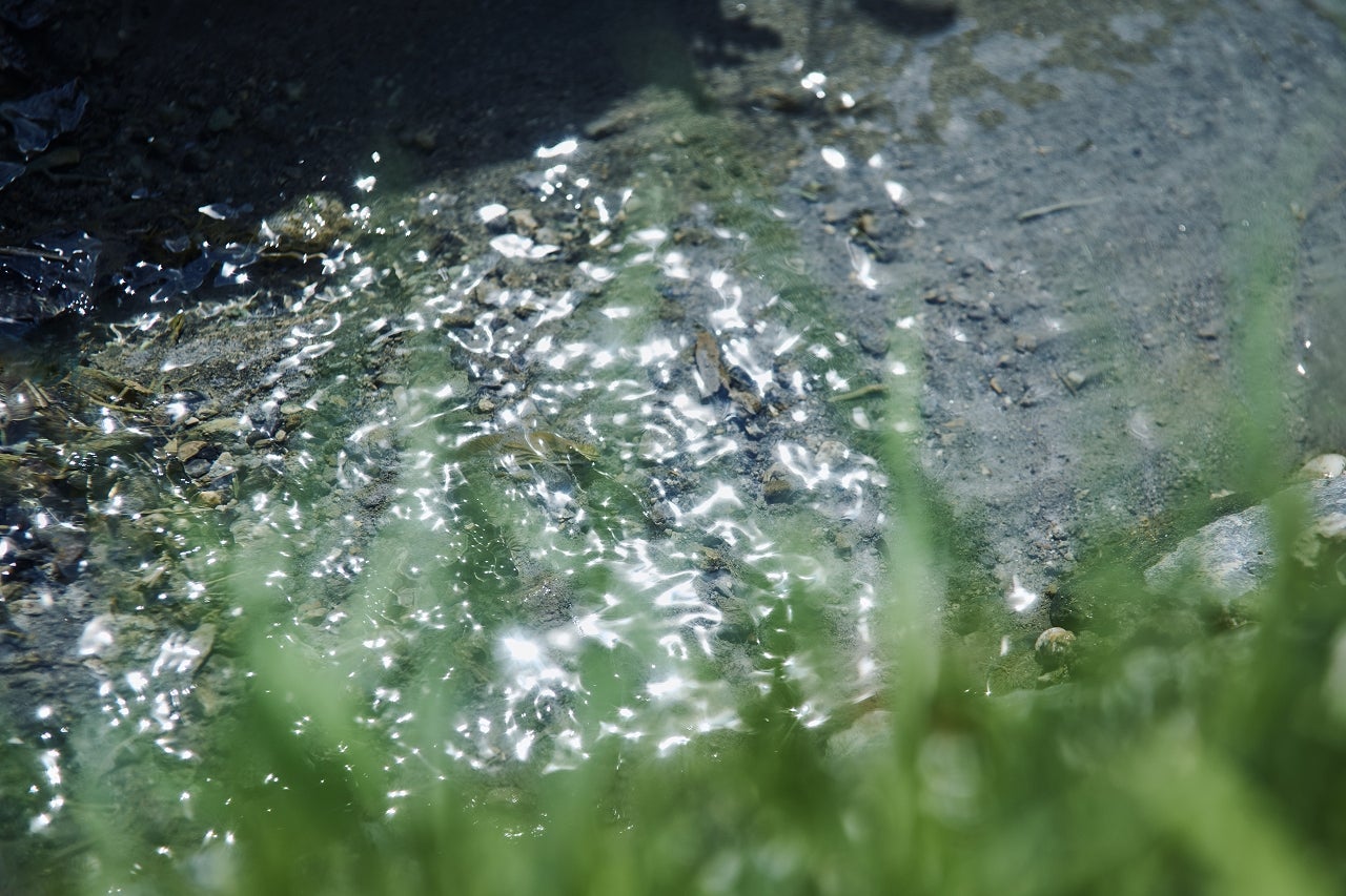 SATOYAMA TERRACE／提供画像