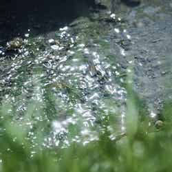 SATOYAMA TERRACE/提供画像