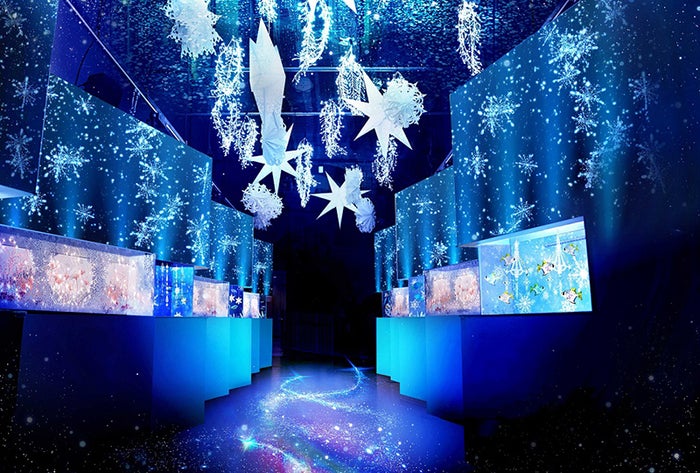 NAKED SNOW AQUARIUM／画像提供：横浜八景島