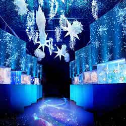 NAKED SNOW AQUARIUM/画像提供:横浜八景島