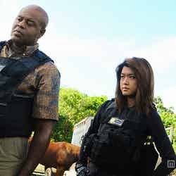 「HAWAII FIVE-0」シーズン5より（C）2015 CBS Broadcasting Inc. All Rights Reserved.
