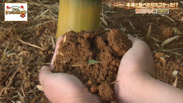 「絶対にうまい」京都府民を虜にする“京都限定の野菜”