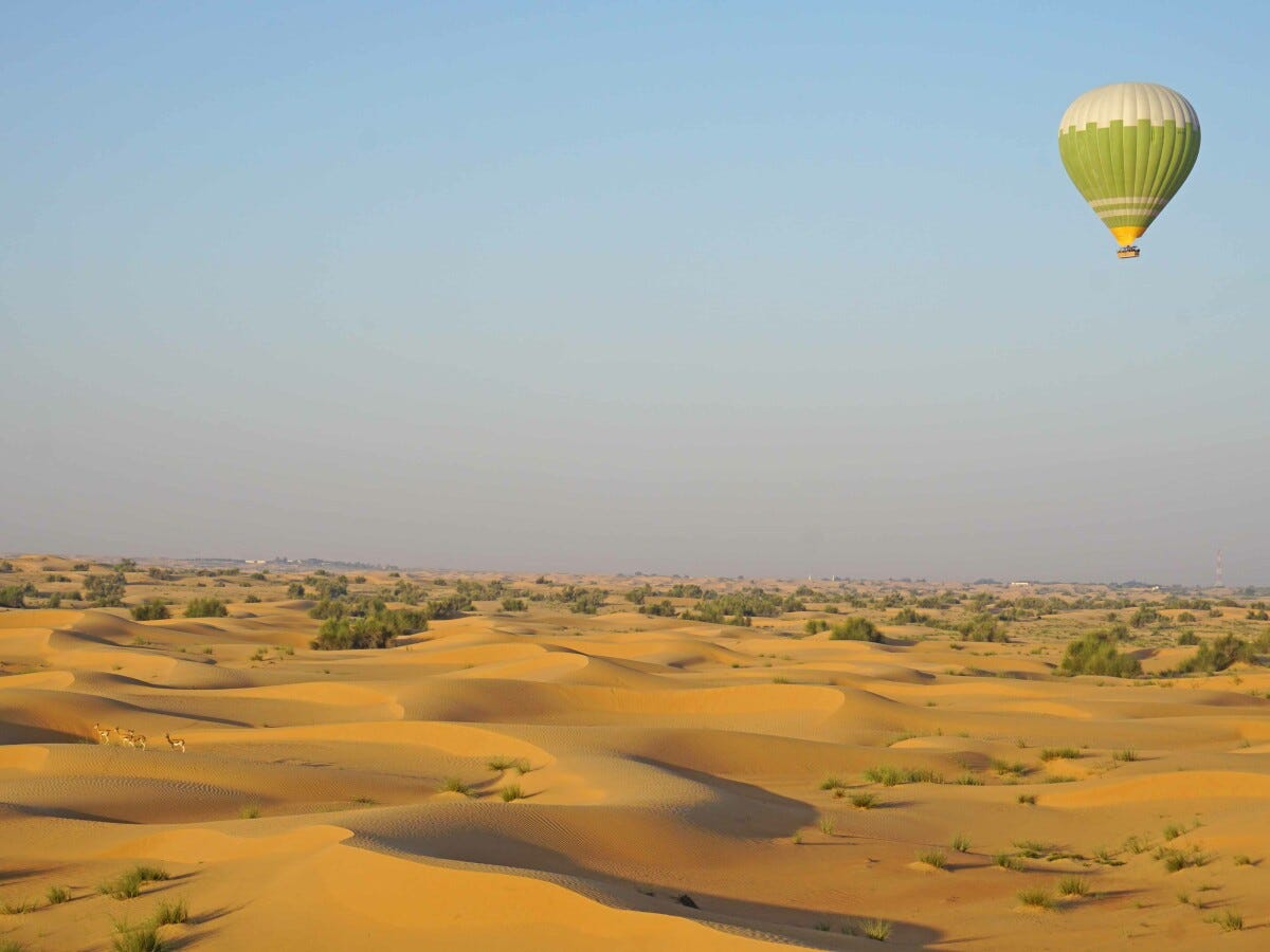 熱気球ライドでは砂漠にガゼルやオリックスなど野生動物の姿を見られることも