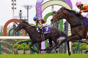 宝塚記念でクロワデュノールVSミュージアムマイル ダービー以来の対決実現！鞍上は北村友＆レーン
