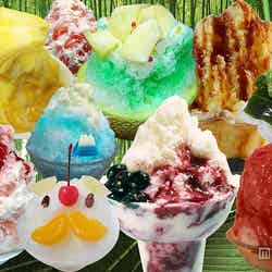 今年で3回目となる「ご当地かき氷祭」開催が決定/画像提供:イオンレイクタウン【モデルプレス】