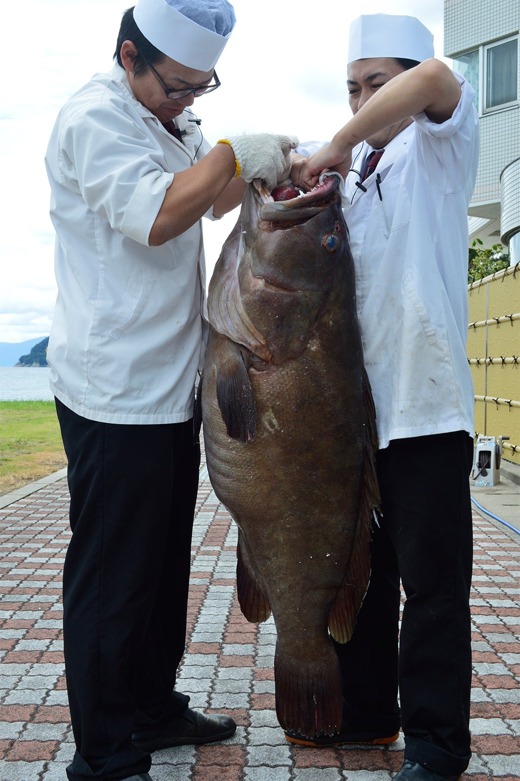自然豊かな丹後でとれる絶品食材／画像提供：マリントピアリゾート