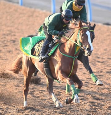 【ヒヤシンスS】“ホリエモン”所有イッテラッシャイの能力は本物 話題先行と侮るなかれ