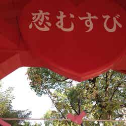 恋みくじ(C)モデルプレス